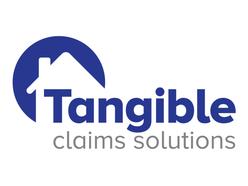 Tangible Claims Solutions Logo Design